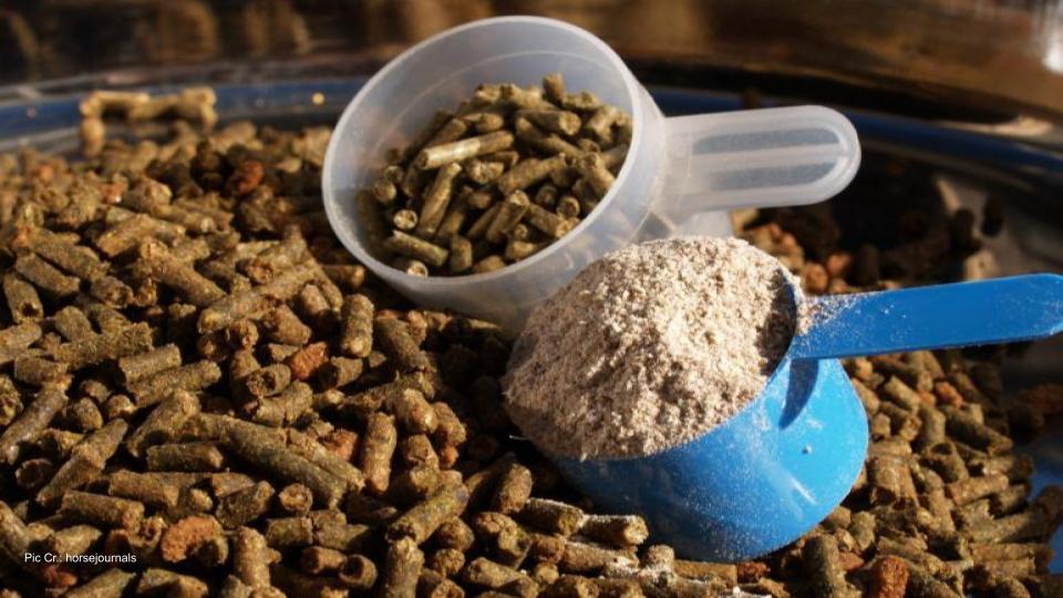 गाईबस्तुको लागि फिड सप्लिमेन्ट(Feed Supplement)