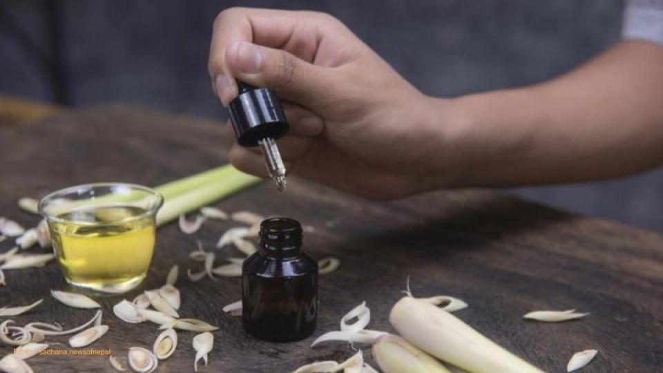 हर्बल आयल उत्पादन उद्योग