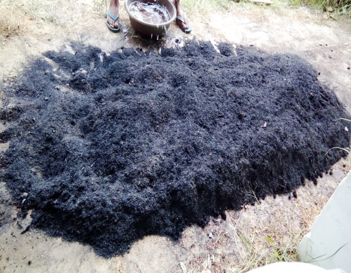 बायोचार (कृषि अंगार) उद्योग