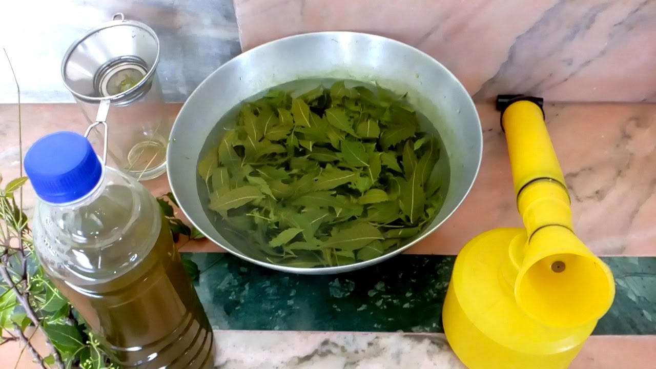 बनस्पतिबाट निर्मित पेस्टिसाइड उद्योग